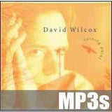 David Wilcox - Turning Point - Full MP3s