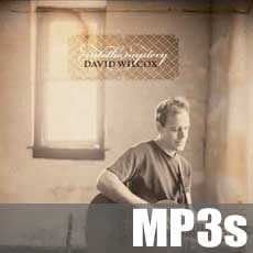 David Wilcox-Into The Mystery - Full MP3s