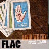 David Wilcox: Open Hand FLACs (294 MB total, DRM-free) (2009)