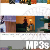 David Wilcox - live songs & stories - MP3s