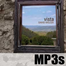 David Wilcox - Vista - MP3s